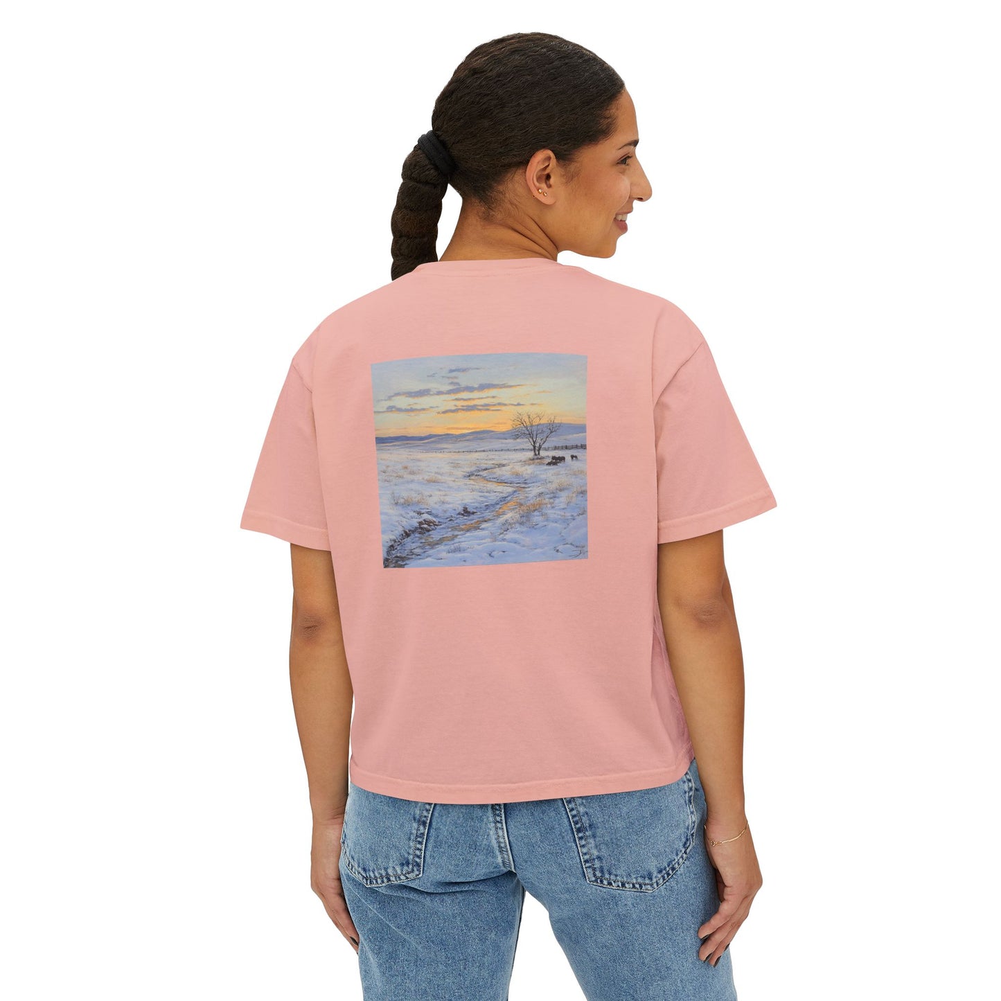 Winter Western Plains Boxy Tee