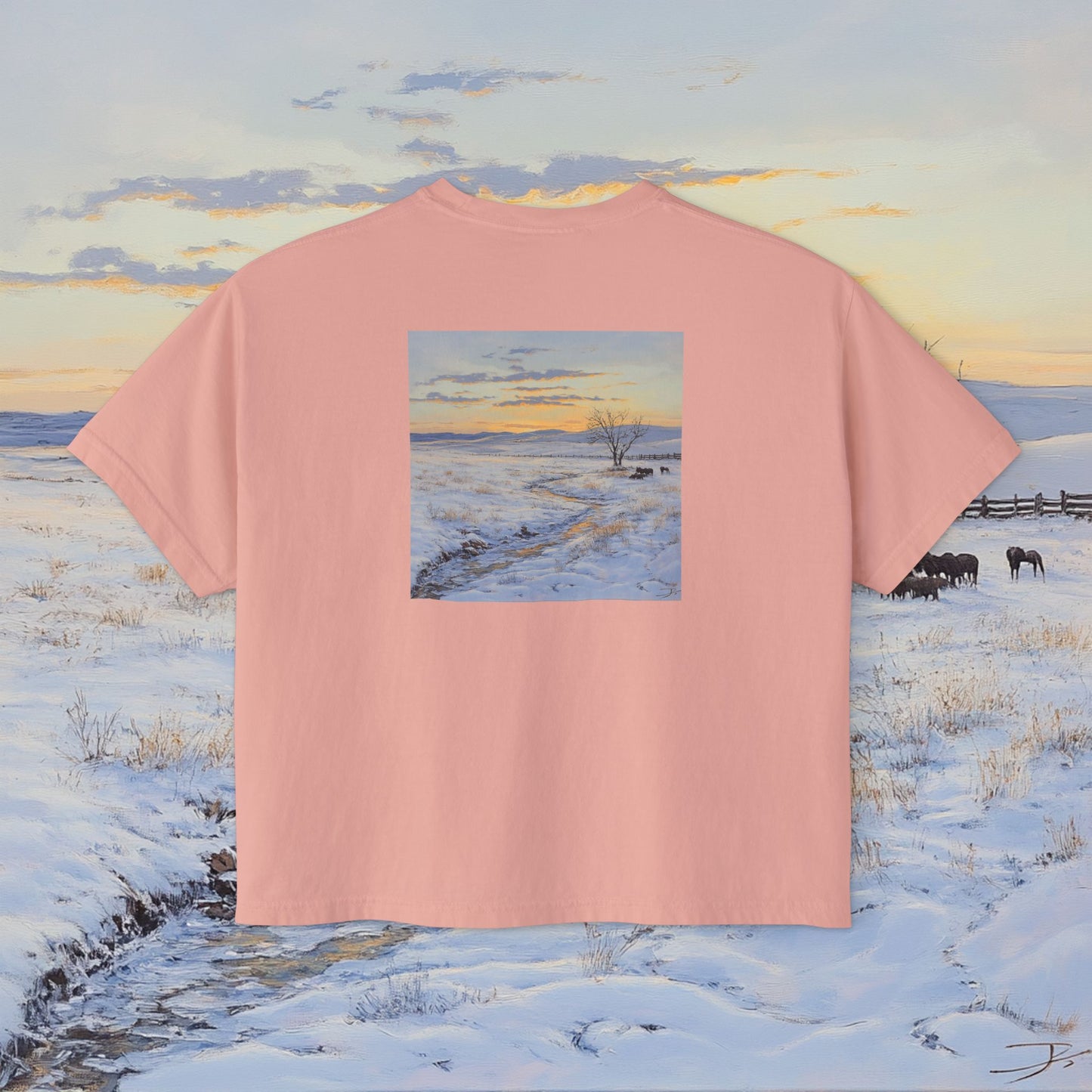 Winter Western Plains Boxy Tee