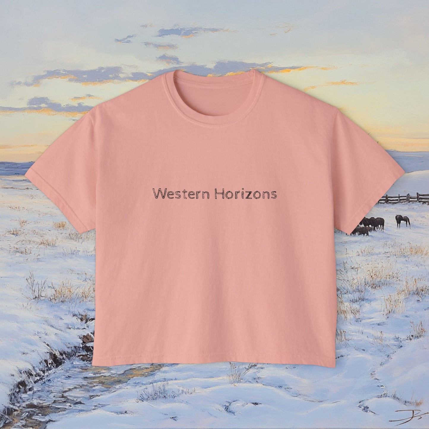 Winter Western Plains Boxy Tee