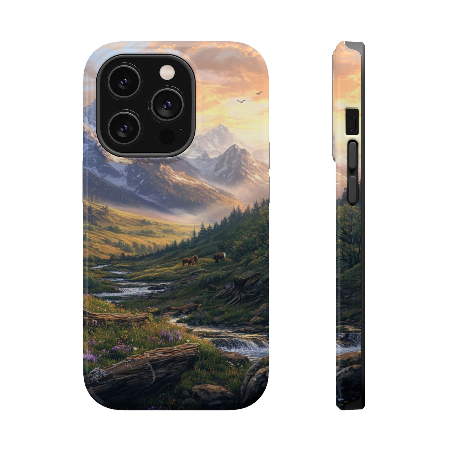 Rocky Mountain Valley Phone Case