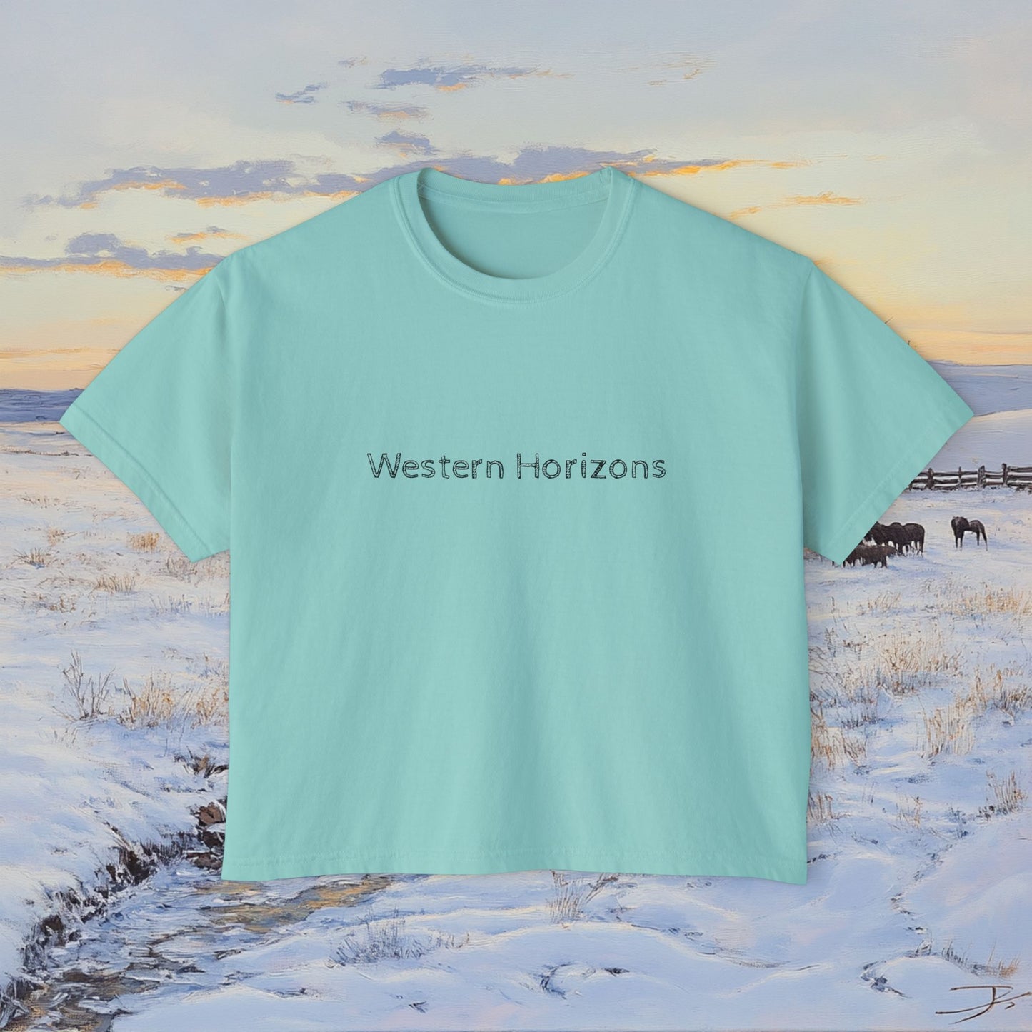 Winter Western Plains Boxy Tee