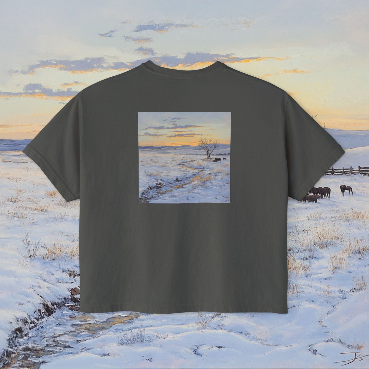 Winter Western Plains Boxy Tee