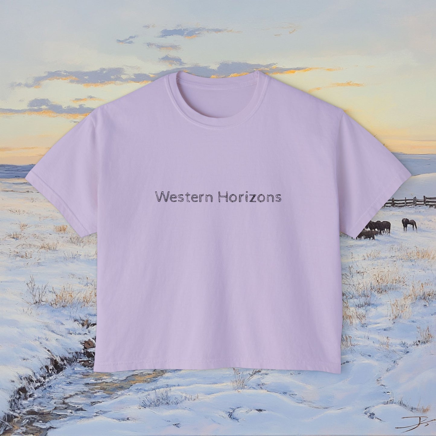 Winter Western Plains Boxy Tee