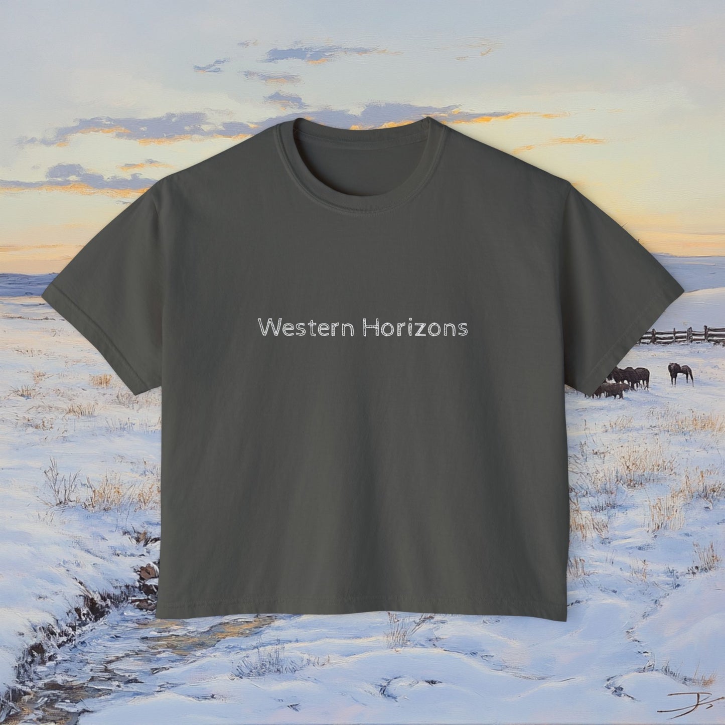 Winter Western Plains Boxy Tee